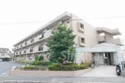 Dear Court 明の春