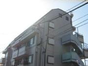 サンライズシナサン