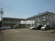 PANAHEIGHTS MORI