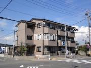 WISTERIAWAKAYAMAIII