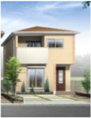 緑区姥子山コダテックスVB