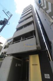 VERDE EBISU