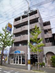 ゴールドクレスト