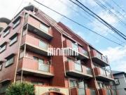 セザール池袋要町