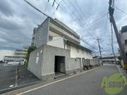ひよどり