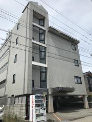 パインコート