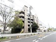 デュコムワイズ