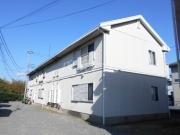 タウニー蓼川