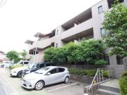 Pine Creek TERRACE