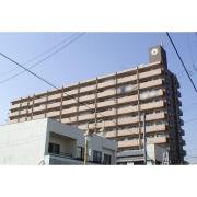 シティパレス竜ケ崎