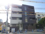 Shamaison Stacia 津門宝津