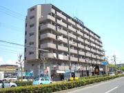地下鉄四つ橋線住之江公園駅まで徒歩10分