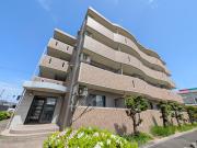 静岡県浜松市中央区初生町