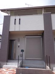 Cherry blossom チェリーブロッサム