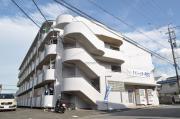 ダイバーシティ同志社