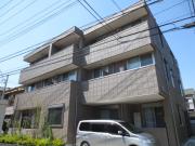 San Sara サンサーラ