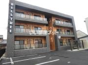 BELL TREE平口