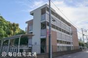 藤