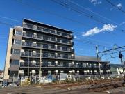 LUXENAPAWS藤沢