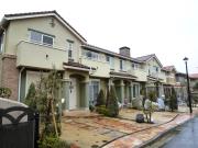 ブルーベリーコート