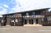 セジュールハナミズキ
