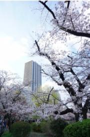 Brillia tower上野池之端