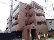 パームヒルズ