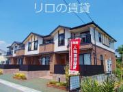 雅