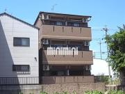 コンソラーレ中野