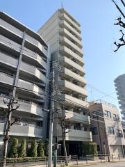 Music Joy 根岸