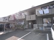 ハイカムールエレガンス
