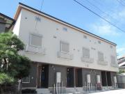 テラス ルピナス