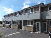 グランドール柿の木