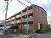 アムールカセイ