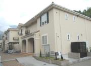 Navel Avenue II