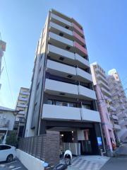 Modena甲突