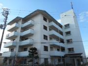 メイゾン山野