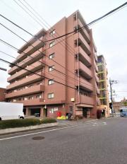 都営大江戸線光が丘駅まで徒歩12分