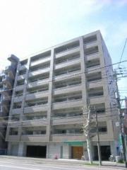 SOUTHERN CROSS 313