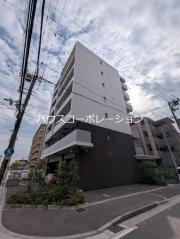 VIVACE NAGASUHONDORI