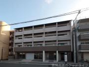 ライラック