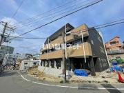 リリーセノラ