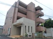 カモミール