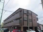 STAY葉池
