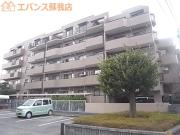 カザベーラ浜野