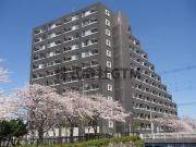 ＪＲ京浜東北・根岸線蒲田駅まで徒歩8分