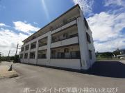 Dream Palace 邦