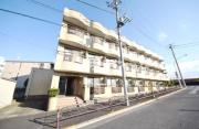 シャンドール 立石
