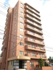 N35 FUJII MS