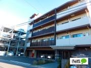 REILIS YOKOHAMA-IDOGAYA AZ
